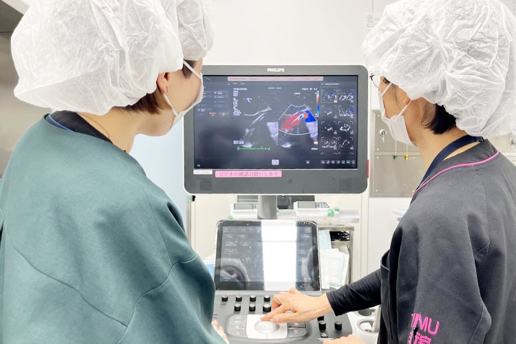 心臓麻酔 | 臨床(麻酔科全般) | 東京女子医科大学 麻酔科